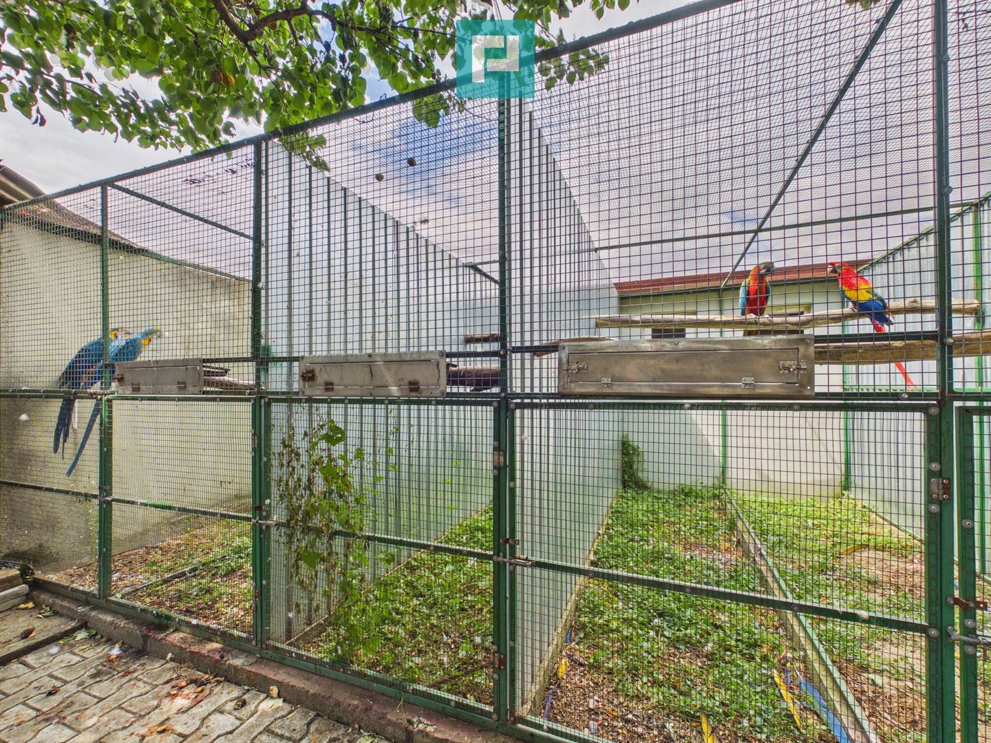 Casă cu 4 camere și teren de 1.910 mp în Macea - Poză 26