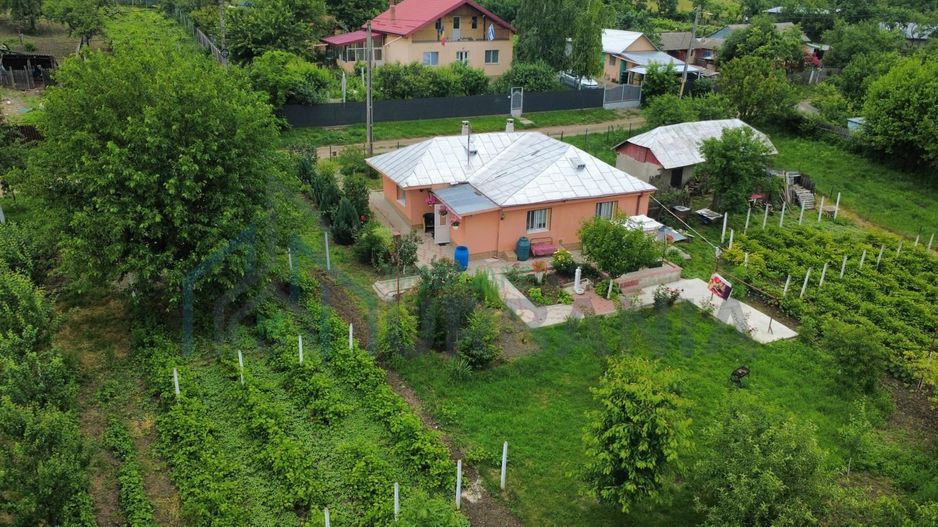 Casă renovată, teren 3.200 mp cu livadă și vie – Comuna Popești, sat Obrijeni, județul Iași - Poză 1