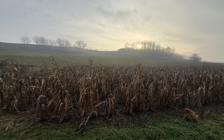 Casa individuala | 3502 MP | Utilitati | Miercurea Sibiului - Poză 16