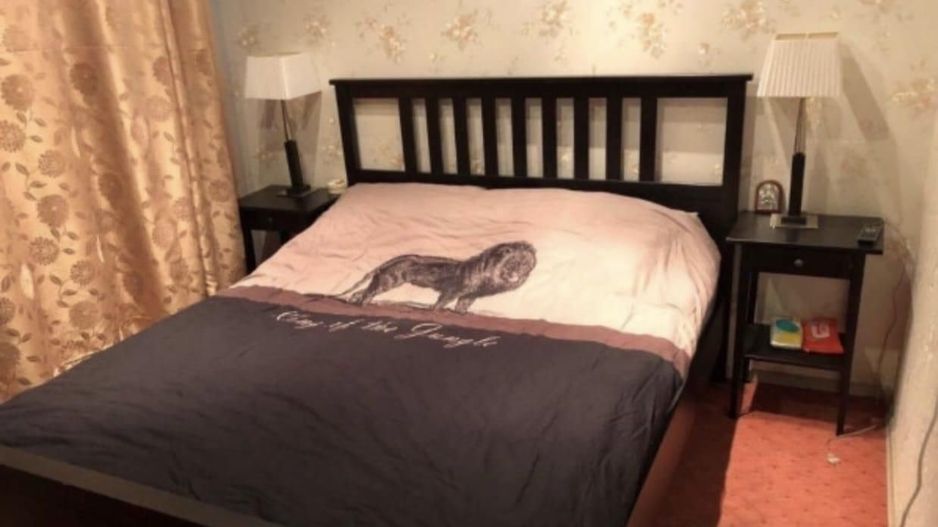 APARTAMENT 2 CAMERE, BRAGADIRU, CARTIERUL VERDE - Poză 5