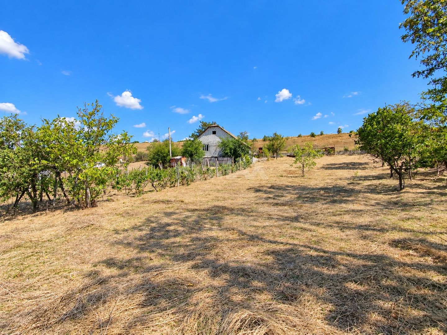 CASĂ GENEROASĂ CU 3 CAMERE – 90 m² | 17 ARI| ANENII NOI - Poză 6