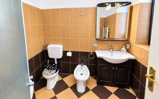 De vânzare/ închiriat Apartament istoric, 2 camere, Central Arad - Poză 19