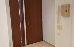 Ap 3 camere Primaverii vedere Herastrau - Poză 8