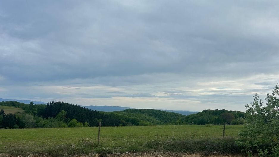 TEREN DE VANZARE IN SINTEU - Poză 3