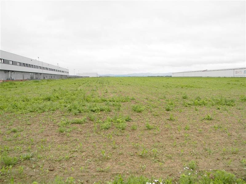 Teren pentru hale-Ghimbav-Joysonquin - Poză 8