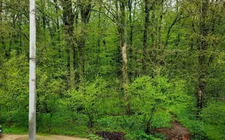 Casă tip duplex de vânzare | Tunari | Acces direct la pădure - Poză 15