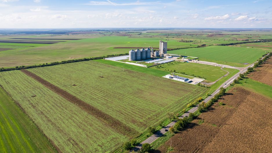 Teren de 104000 mp în Vinga - Poză 3