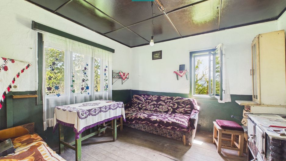 Proprietate rară cu 24.270 mp, în Măgulicea, Arad! - Poză 14