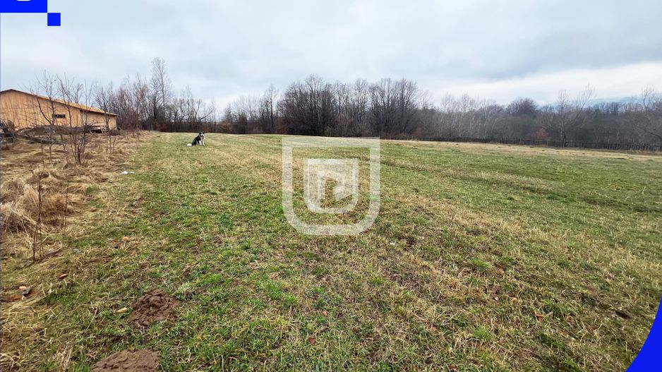 Casa traditionala la tara cu livada | Poieni-Solca - Poză 21