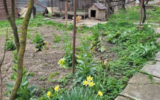 Cisnadie I Central I Casa de renovat I 500 mp teren - Poză 26