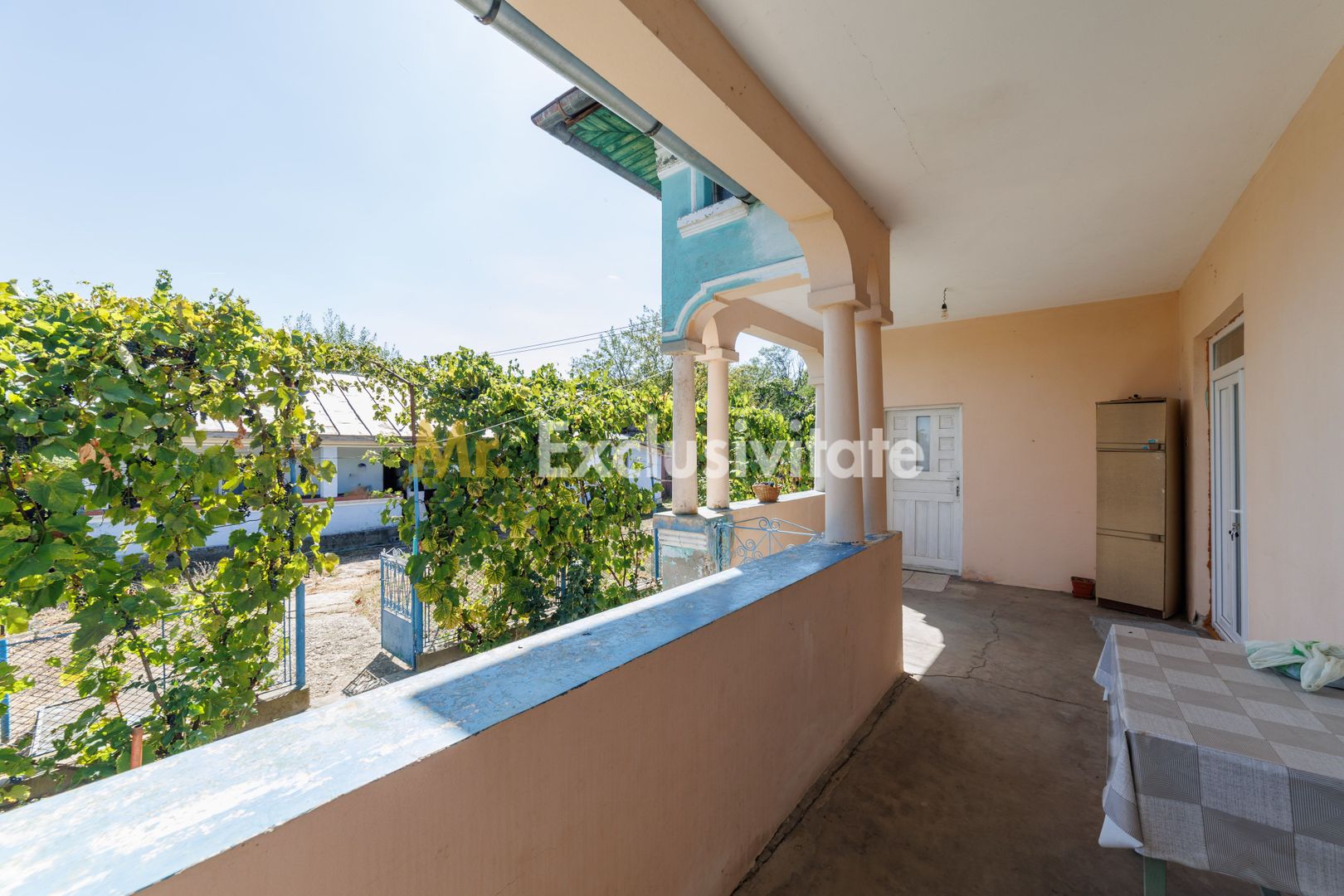 CASA SI GOSPODARIE DE VANZARE – SPINENI, OLT | 4.000 MP TEREN - Poză 2