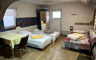 Casa cu 4 apartamente | 9 camere | Curte si Gradina - Poză 9