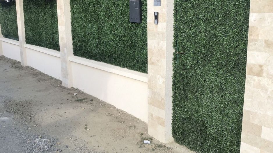 Casa Paulesti - Poză 4