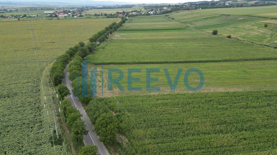 Teren de 4.400 mp Racova - Poză 7