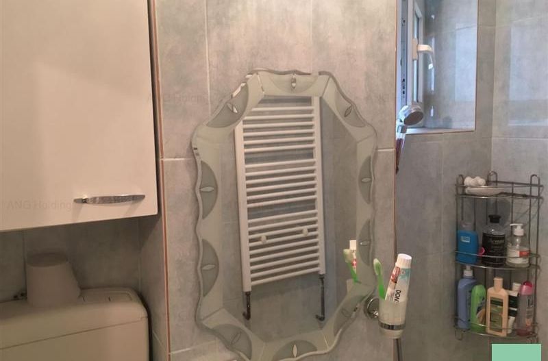 Apartament 3 camere Pantelimon | Parcul Florilor - Poză 10