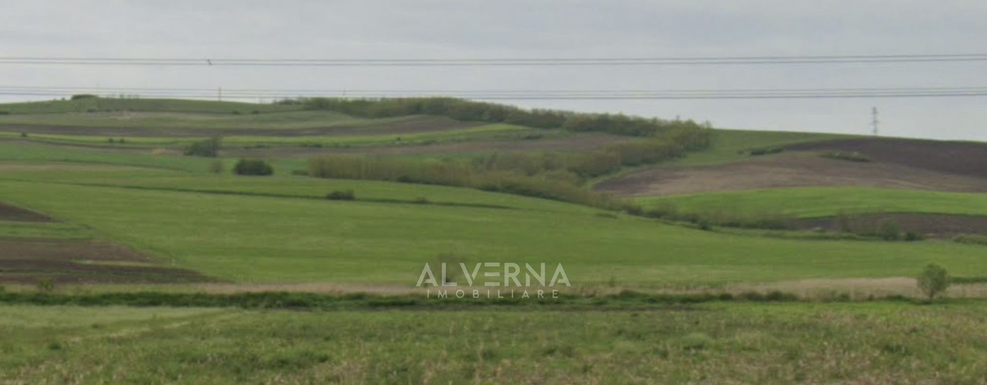 COMISION 0% - Teren extravilan 2.900mp - cadastrat - Gadalin / Jucu - Poză 7