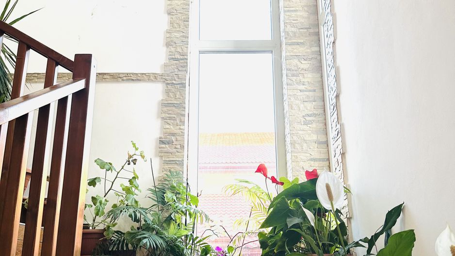 Vila individuala Sacalaz | 5 camere 191 mp, teren 503 mp | Comision 0% - Poză 12