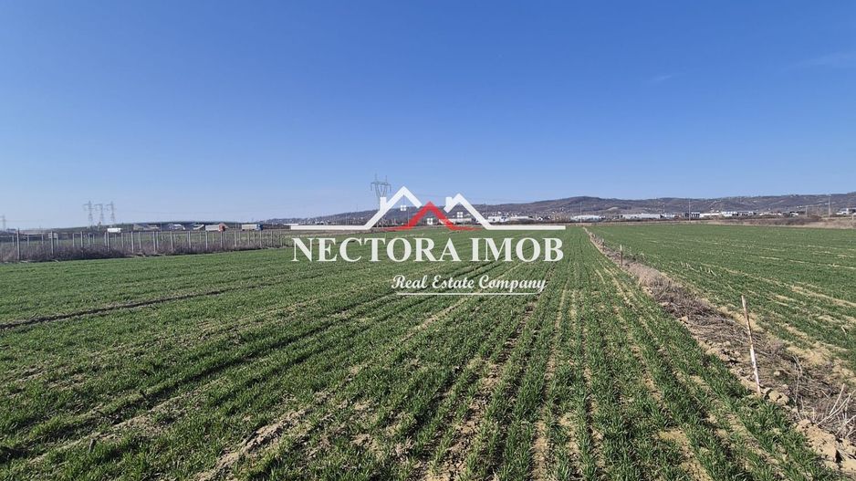 NECTORA IMOB-Teren Intravilan 537 mp, Zona Solay, 250 m de asfalt - Poză 6