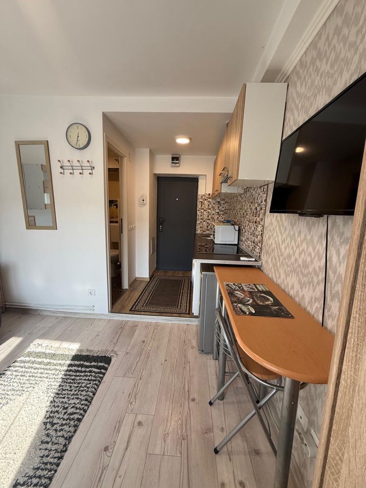 Grasoniera-zona Buziasului | Mobilata si Utilata | Renovata - Poză 6