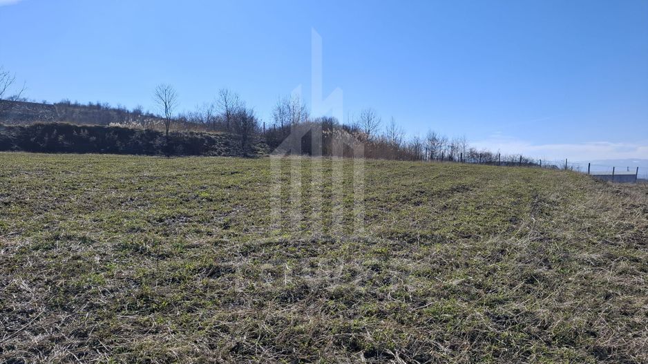 COMISION 0% - Teren INTRAVILAN Hamba, jud. Sibiu - Poză 2