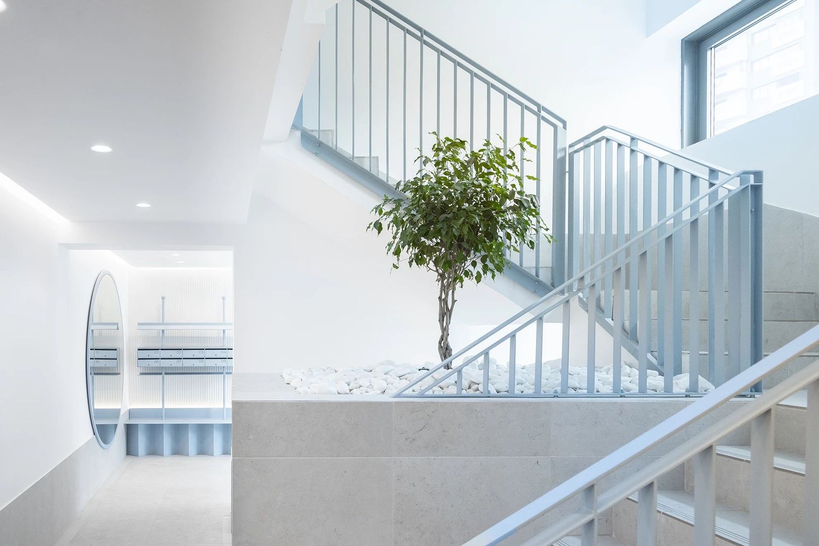 Prima Vista - Poză 7