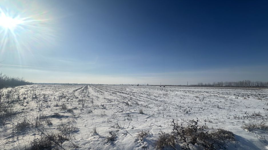 Teren Extravilan | 52 ari | Maneuti | Front 26 m | 55.500 € - Poză 1