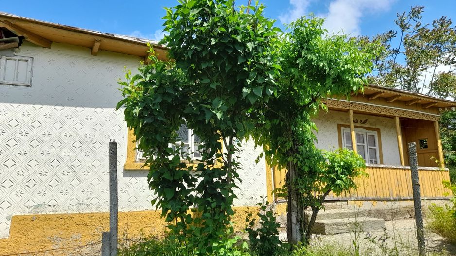 Casă cu teren de 1.470 mp de vânzare – Fântânele, Scânteiești - Poză 36