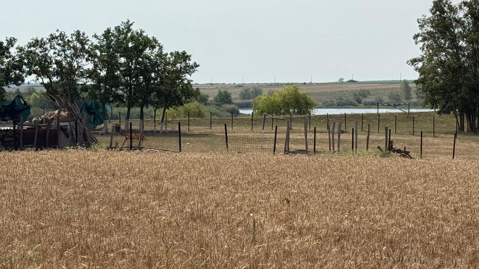 Teren intravilan Miersig, vedere la lac. 12,5 E/mp neg. Comision 0 - Poză 5