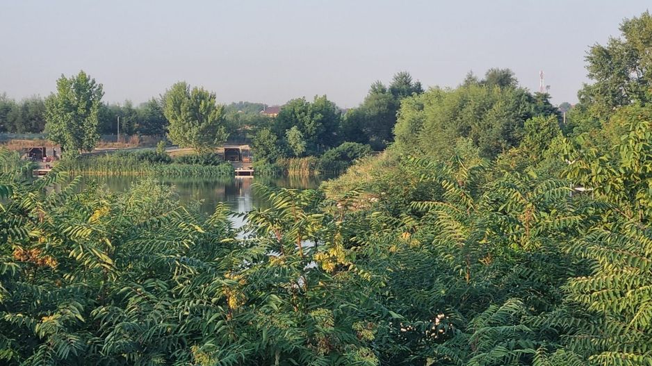 Teren cu Vedre Lac - Poză 2