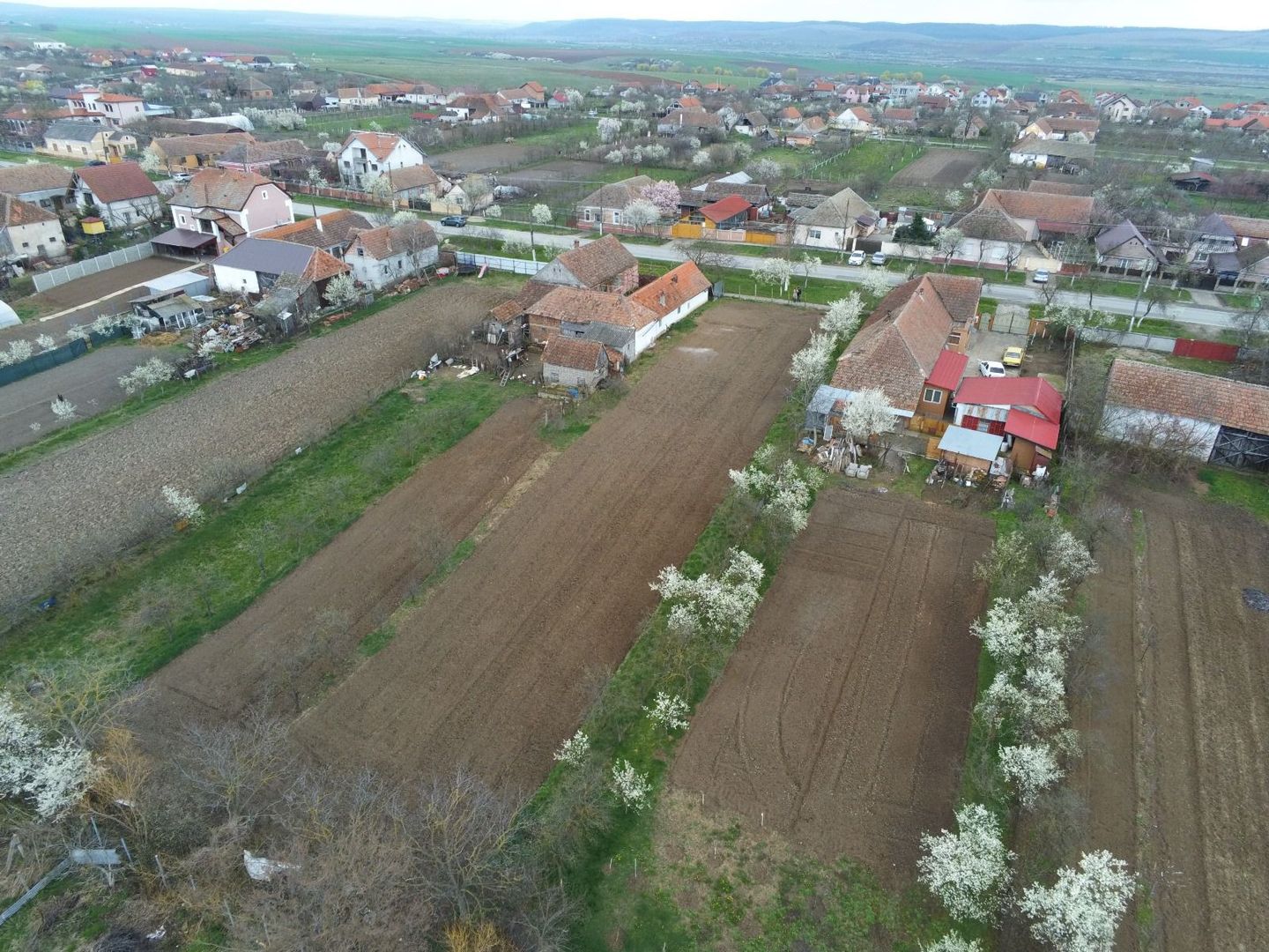Teren intravilan în Fibiș - Poză 5