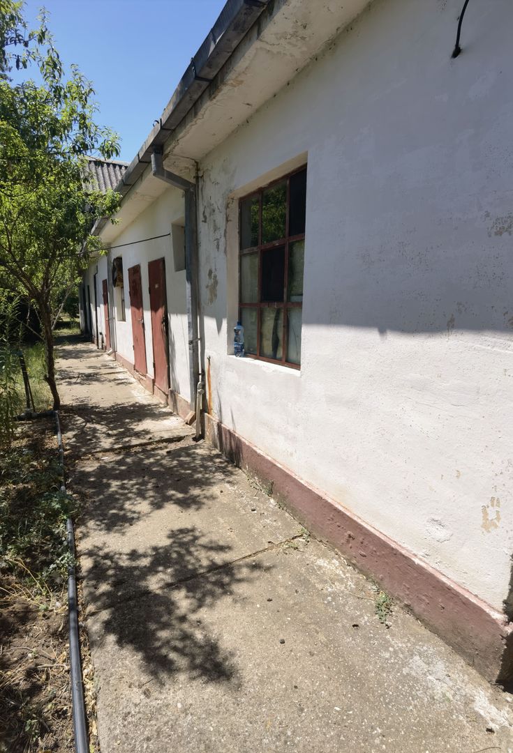 Spatiu industrial zona Sud-Arad - Poză 20