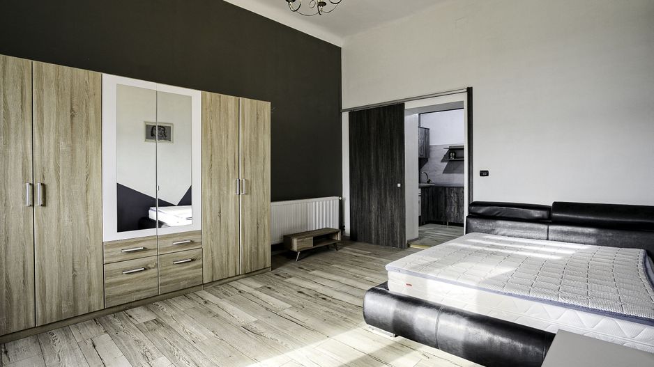 PRET NOU! Apartament Podgoria - ideal pt birou/cabinet COMISION 0% - Poză 4