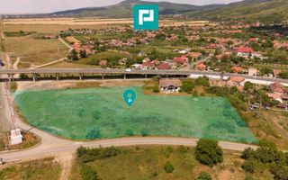 Teren intravilan 10.000 mp. în Pauliș - Poză 1
