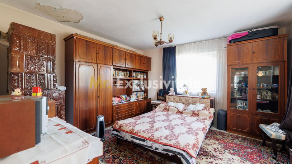 CASA SI GOSPODARIE DE VANZARE – SPINENI, OLT | 4.000 MP TEREN - Poză 3