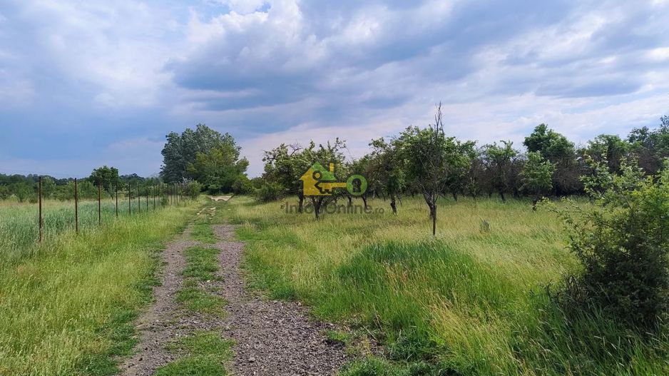 teren intravilan in sag 1271 mp - Poză 3