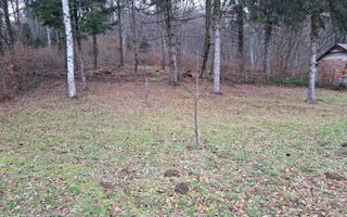 Teren deosebit pozitionat, cu livada, langa padure,  pe Valea Avrigului - Poză 4