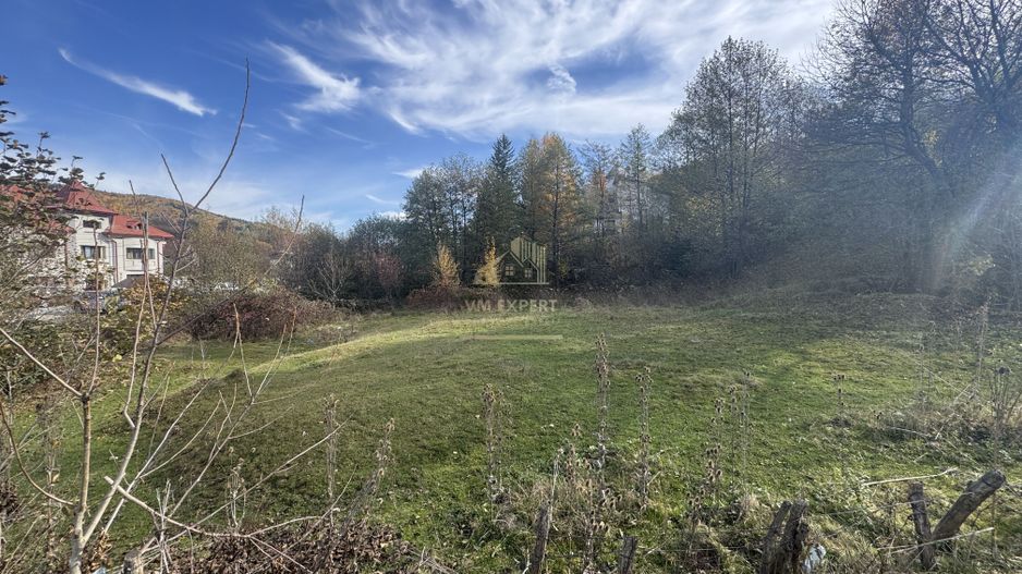 TEREN INTRAVILAN 13167 MP BUGHEA DE SUS ARGES - Poză 4