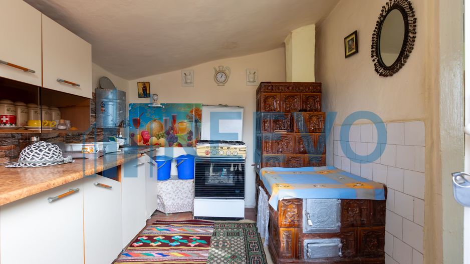 Casa si teren 3365mp Sascut - Poză 19