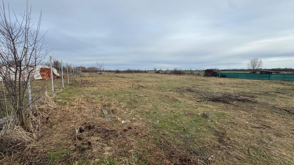 COMISION 0 | Teren intravilan | 687 + 632 mp | Giroc - Poză 4