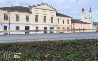 Proprietate tip conac, teren 4468 mp, oras Lipova - Poză 1