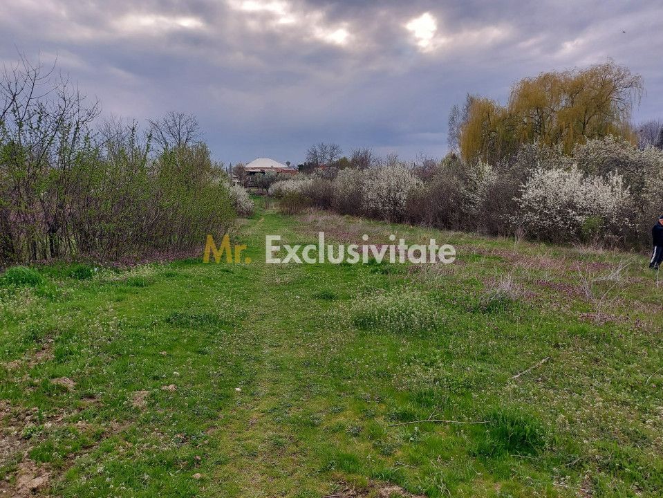 Teren Topoloveni - 3670 mp - langa padure, aproape de Centrul orasului - Poză 1