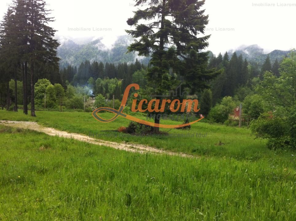 Teren intravilan Cotul Donului,pretabil Hotel/pensiune. - Poză 4