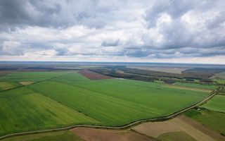 Teren arabil de 532 hectare în Mehedinți - Poză 2