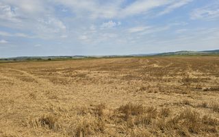 Teren intravilan– 50.000 mp, Bacău, Șoseaua Hol - Poză 6