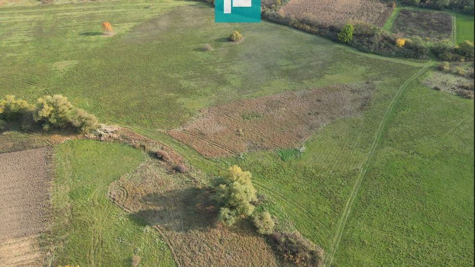 Rezidență de vis pe Valea Mureșului la Lalașinț - Poză 29