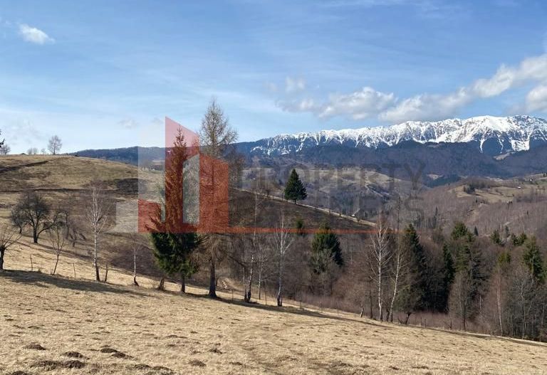 Teren Drumul Carului Moieciu - Poză 8