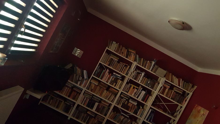 BRASADAS vinde casa individuala in zona Aurel Vlaicu. - Poză 14