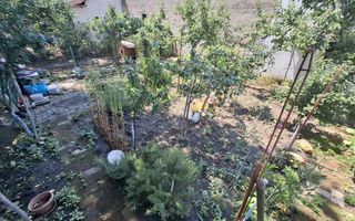 Balcescu, cladire istorica, 3 cam, et 1, CT, AC si gradina privata - Poză 31