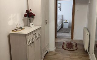 Apartament 2 camere | Parter | 60 MPU | Renovat | Terezian - Poză 9