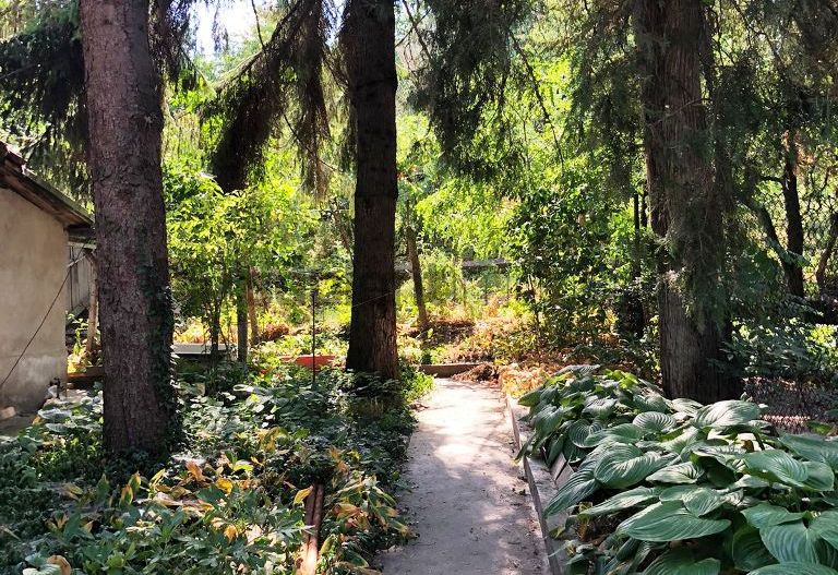 Casa  de renovat  str.Colinelor - Poză 11